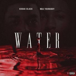 刘涛明星人脸替换脸
